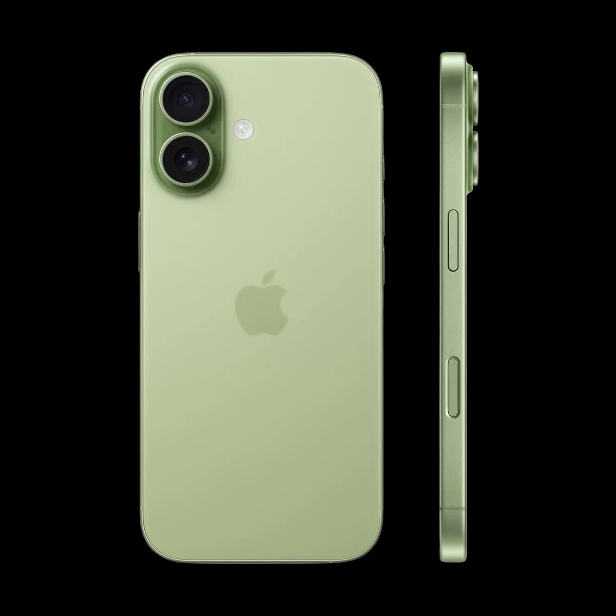 Apple iPhone 17 256Gb Dual SIM Sage, зеленый